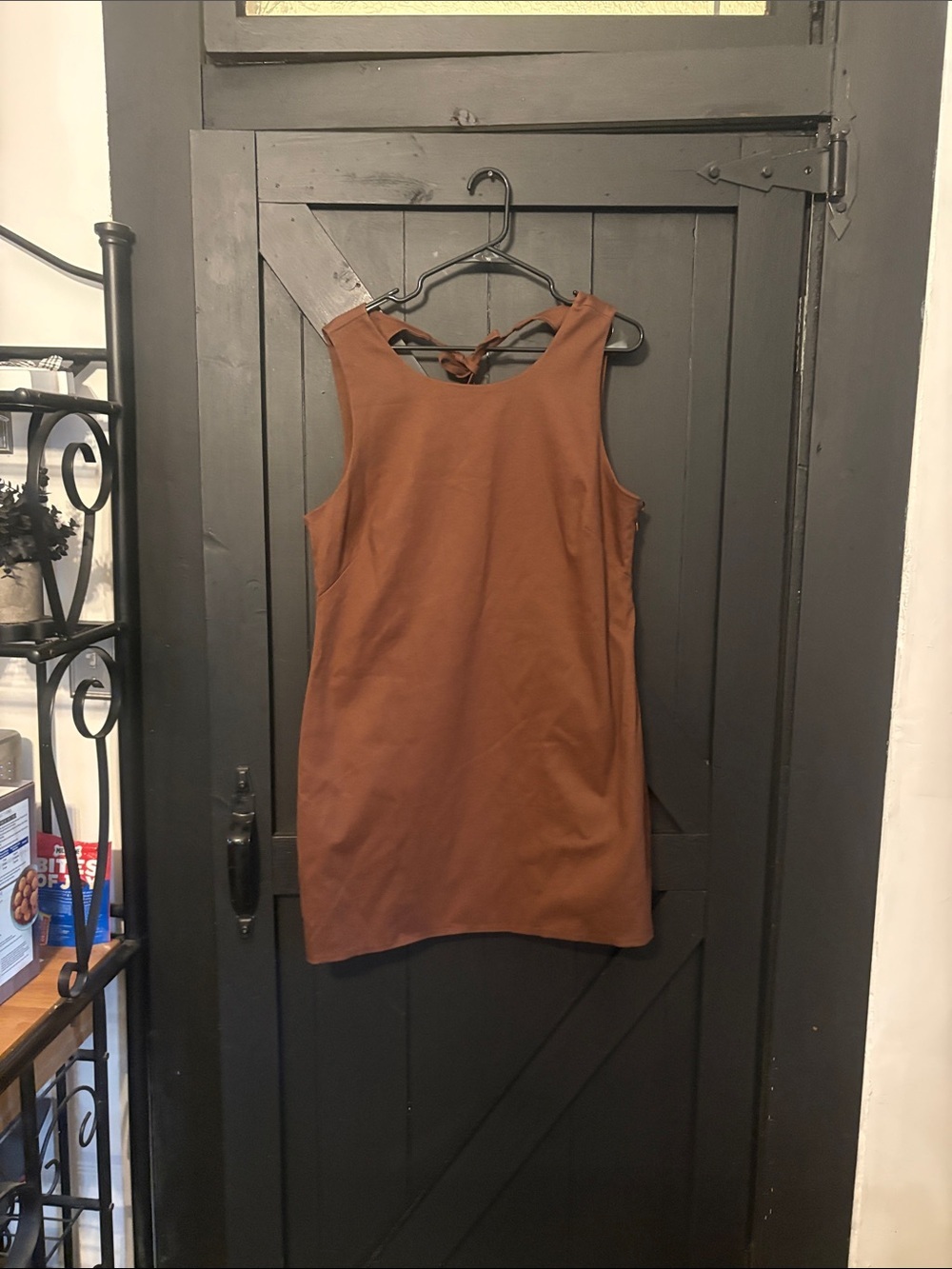 Sleeveless Mini Dress with Back Tie in Rust